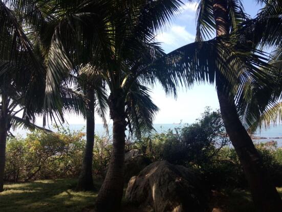 公司员工赴三亚旅游