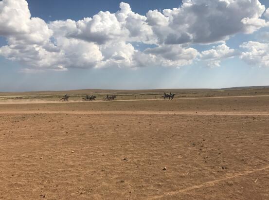 公司员工赴内蒙旅游